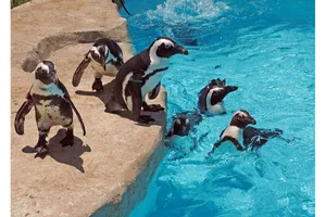狭山市立智光山公園こども動物園