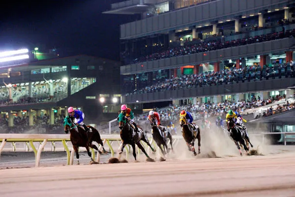 大井競馬場(東京シティ競馬【TCK】)