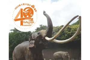 横浜市立金沢動物園