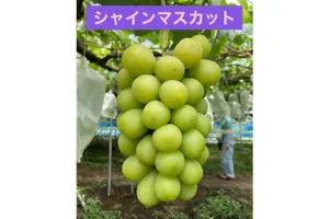 青木ぶどう園