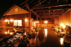 おがわ温泉　花和楽の湯