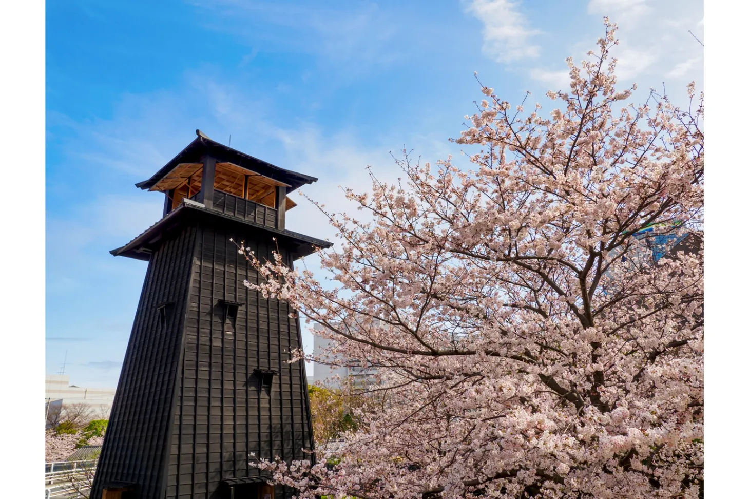 西野新川、【桜花富士】、希少な額装用画集より、美品、新品額装付、インテリア 新川千本桜