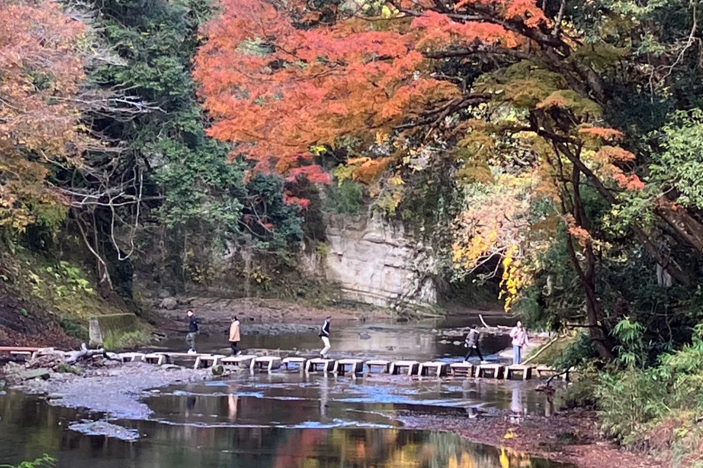 ▲〈養老渓谷〉中瀬遊歩道 紅葉