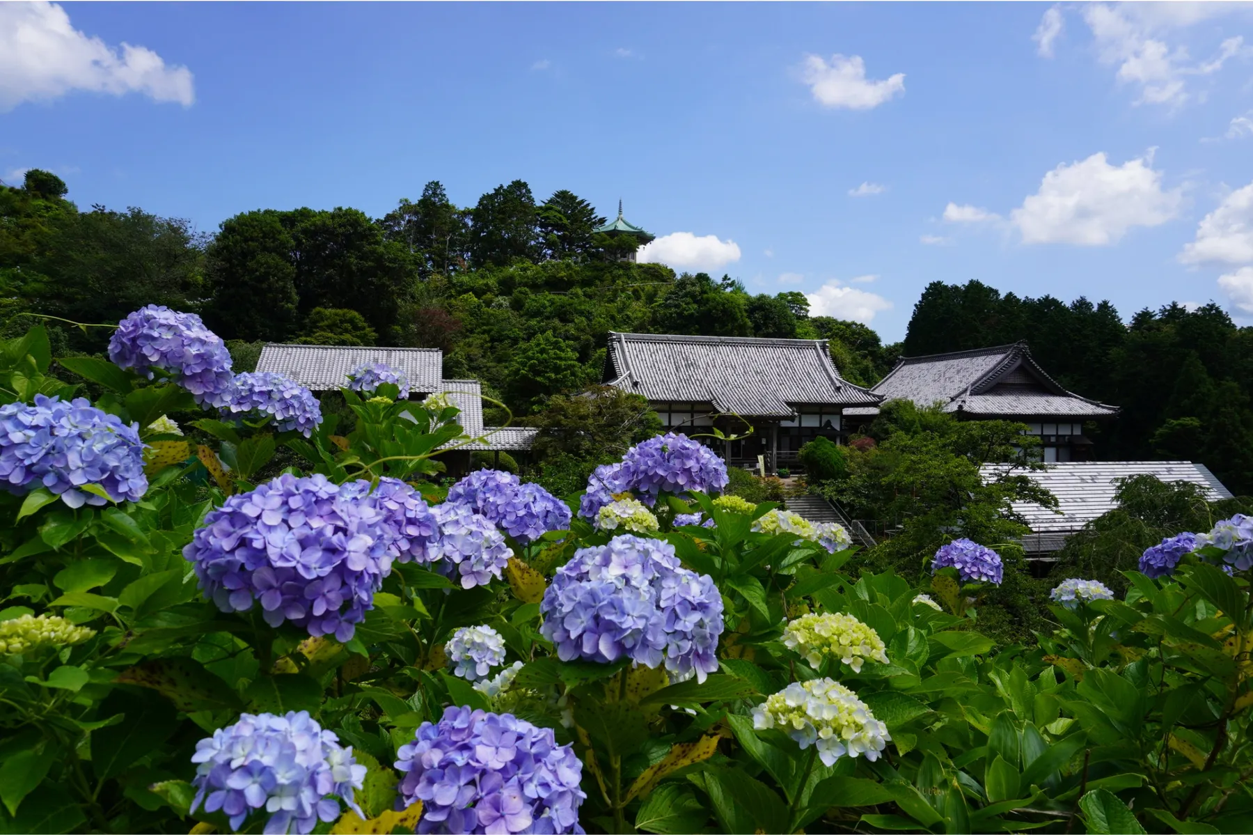 ▲〈養老渓谷周辺スポット〉麻綿原高原
