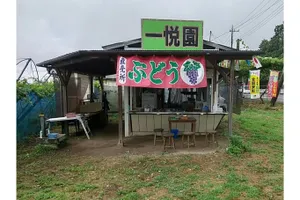 ぶどうの一悦園