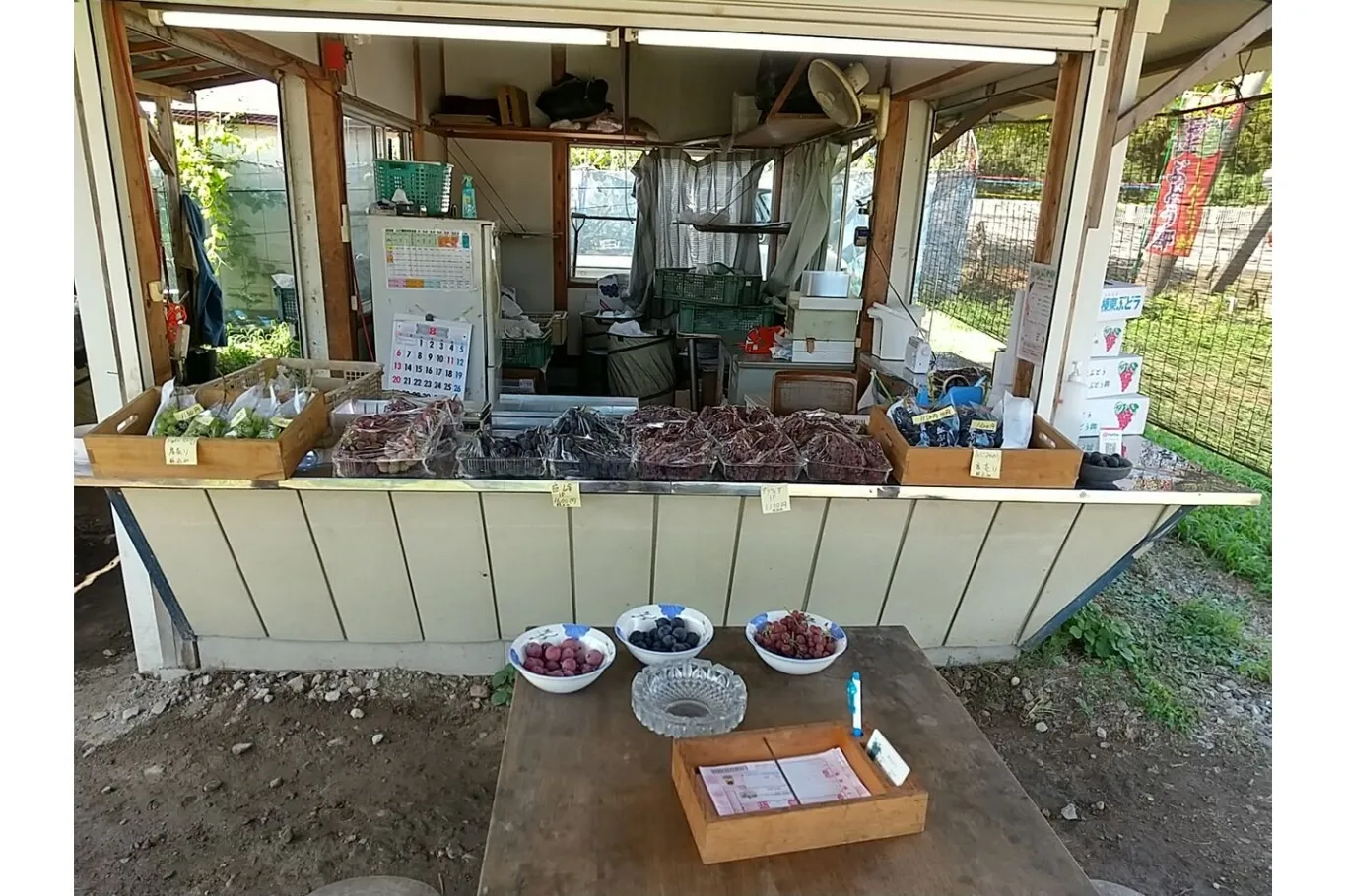 ぶどうの一悦園_5