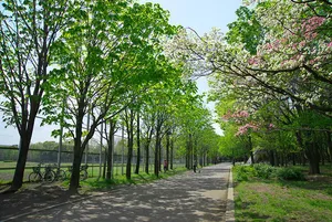 光が丘公園