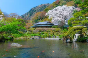 吉池旅館