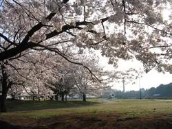 所沢航空記念公園