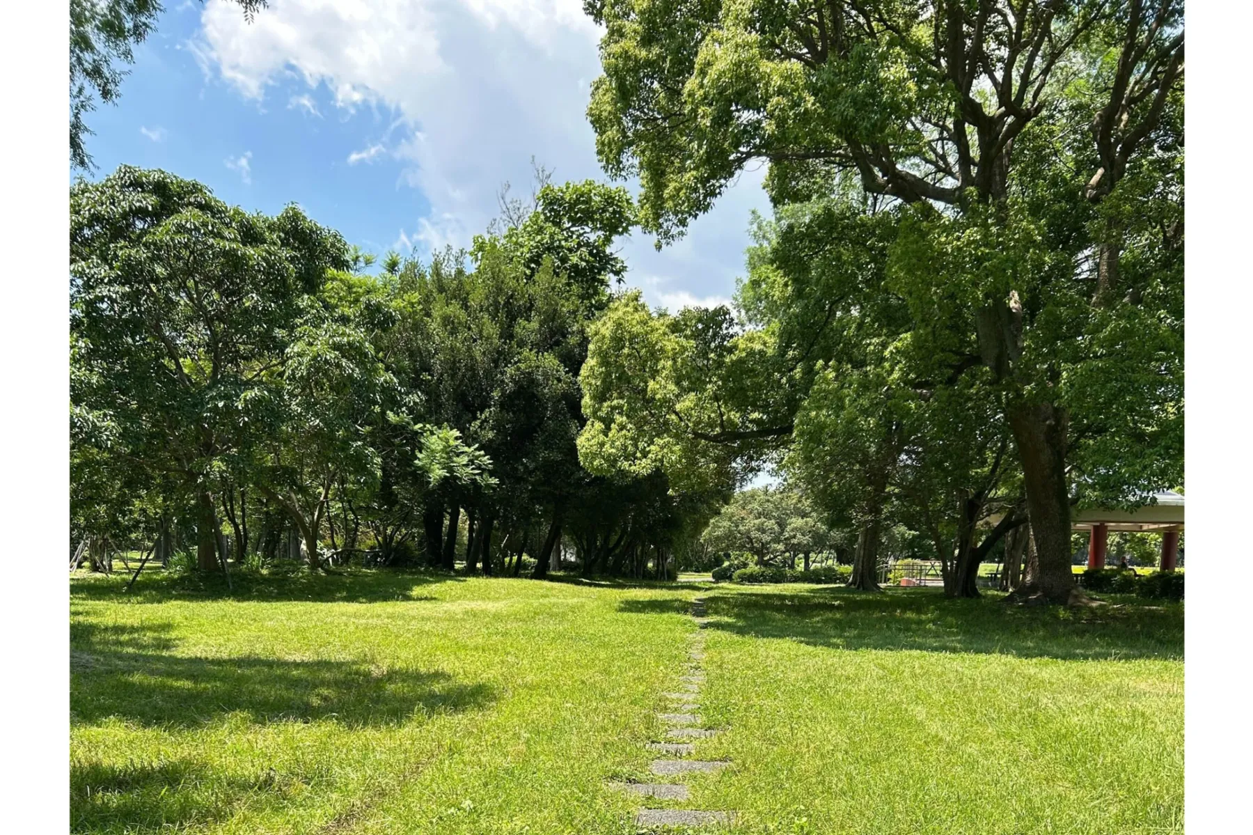 夢の島公園_2