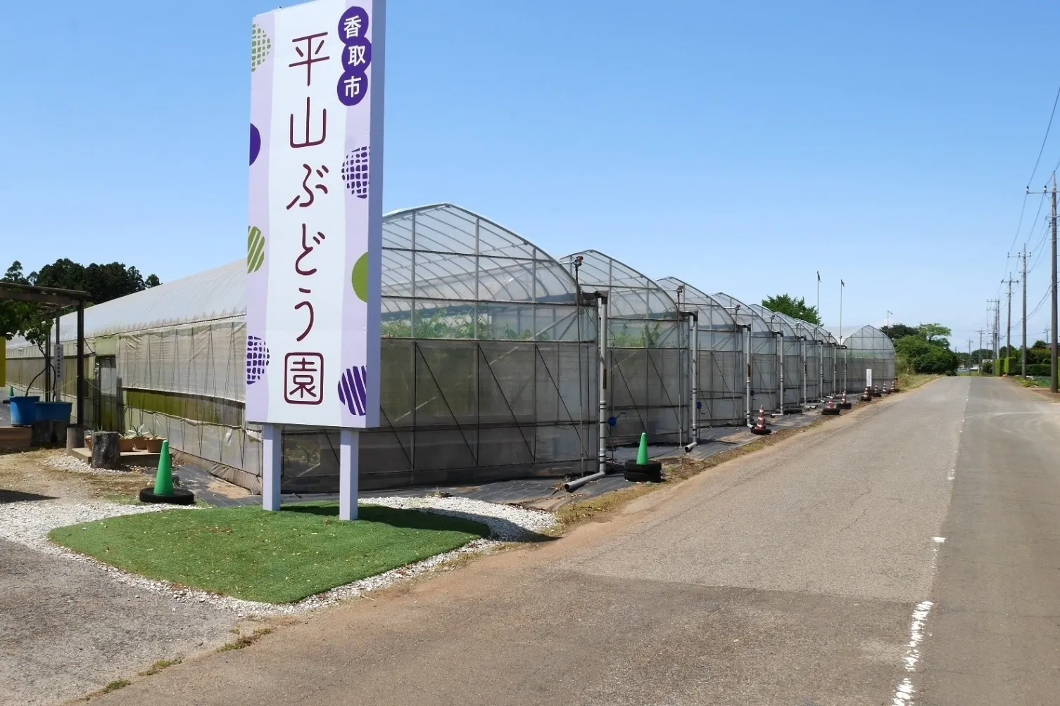 平山ぶどう園_4