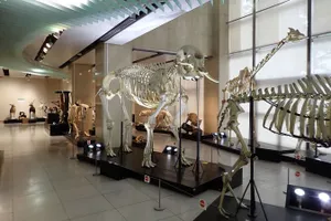 日本大学　生物資源科学部　博物館