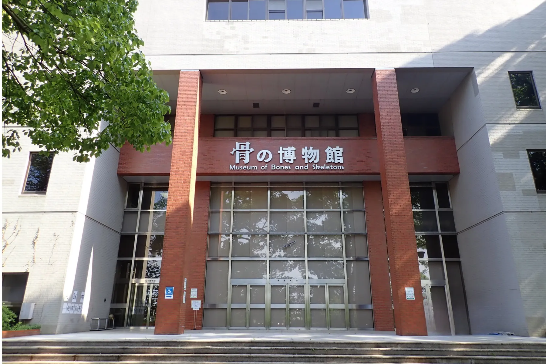 日本大学　生物資源科学部　博物館_4