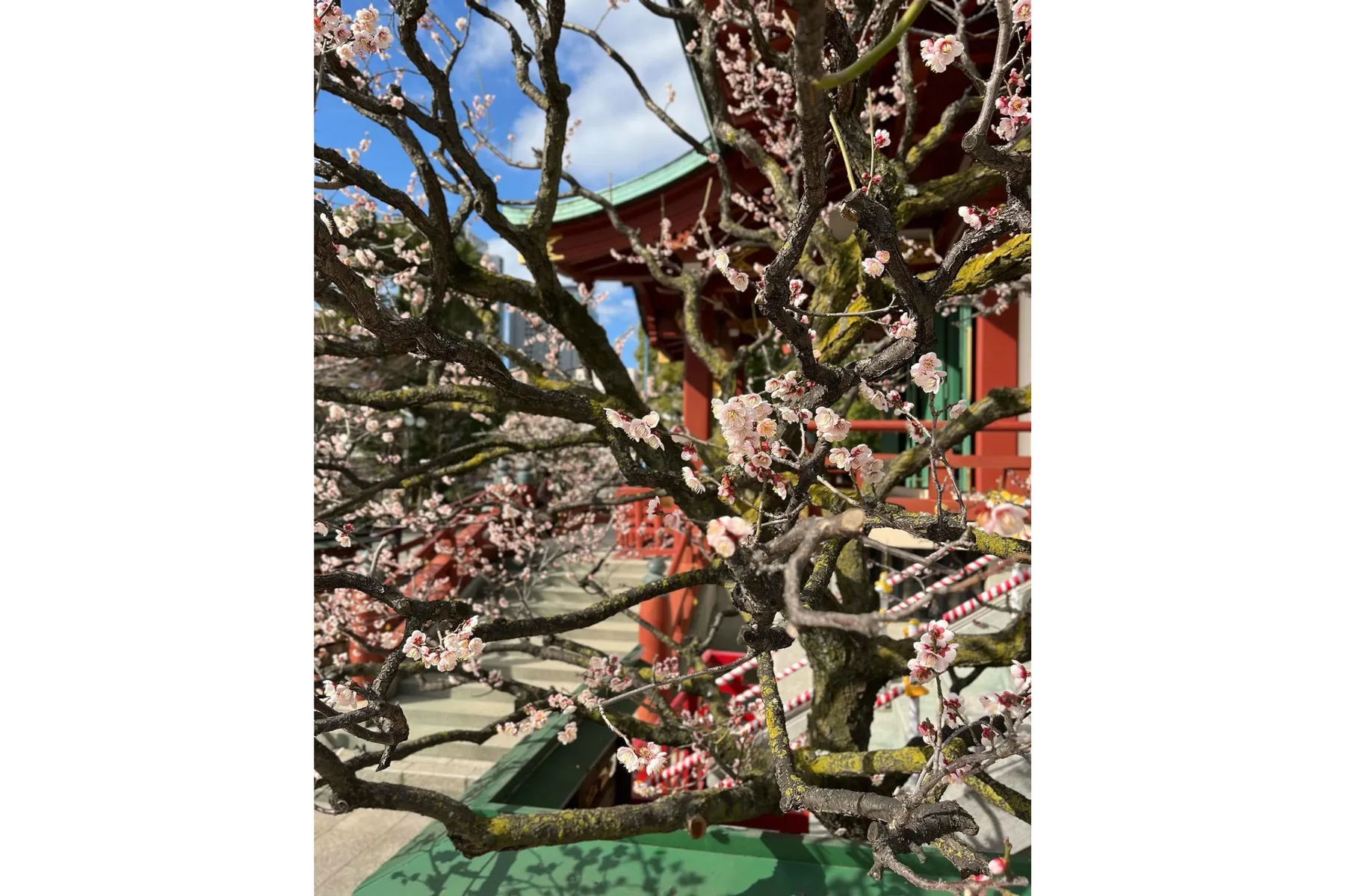 亀戸天神社_6