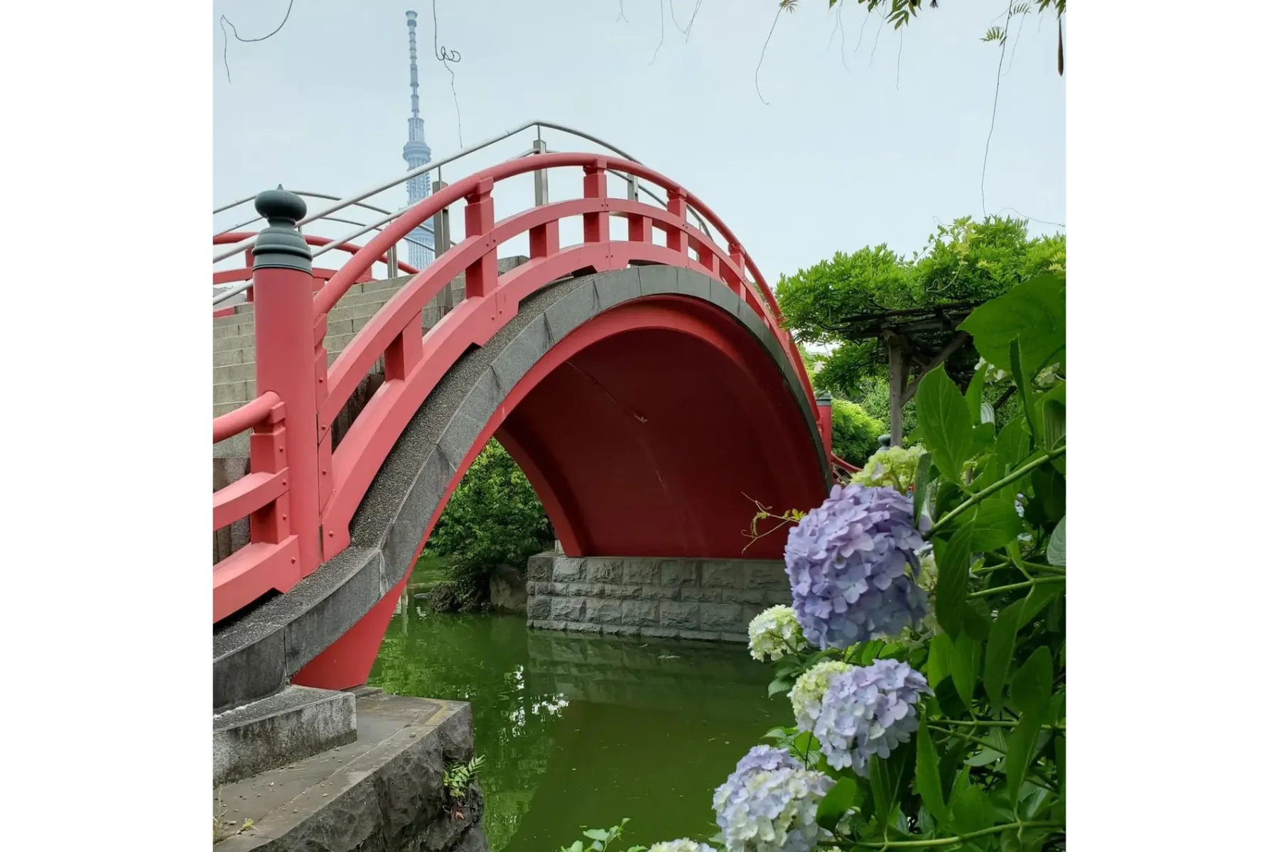 亀戸天神社_9