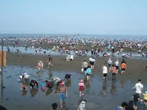 牛込海岸潮干狩場