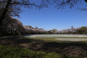 小平中央公園