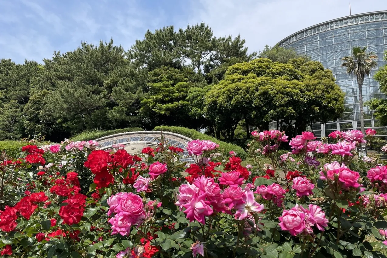 稲毛海浜公園_3