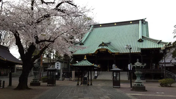 妙法寺門前通り商店会_2