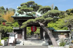 鎌倉長谷寺
