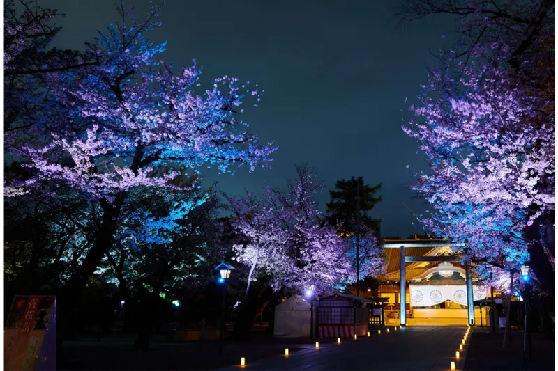 ▲「夜桜詣」の様子