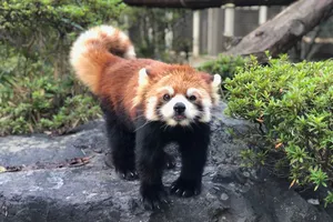 羽村市動物公園