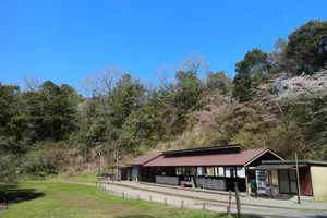 いちはらクオード森 キャンプ場