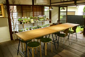 苔むすび
