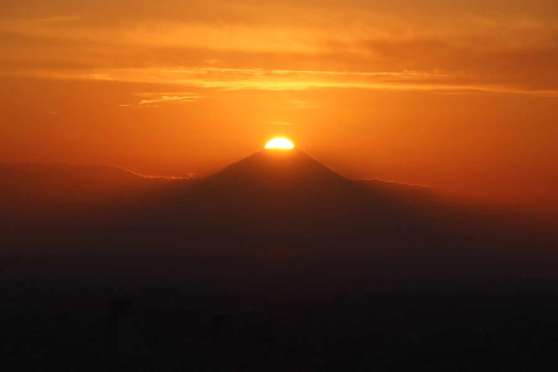 サンシャイン60展望台 てんぼうパーク_14