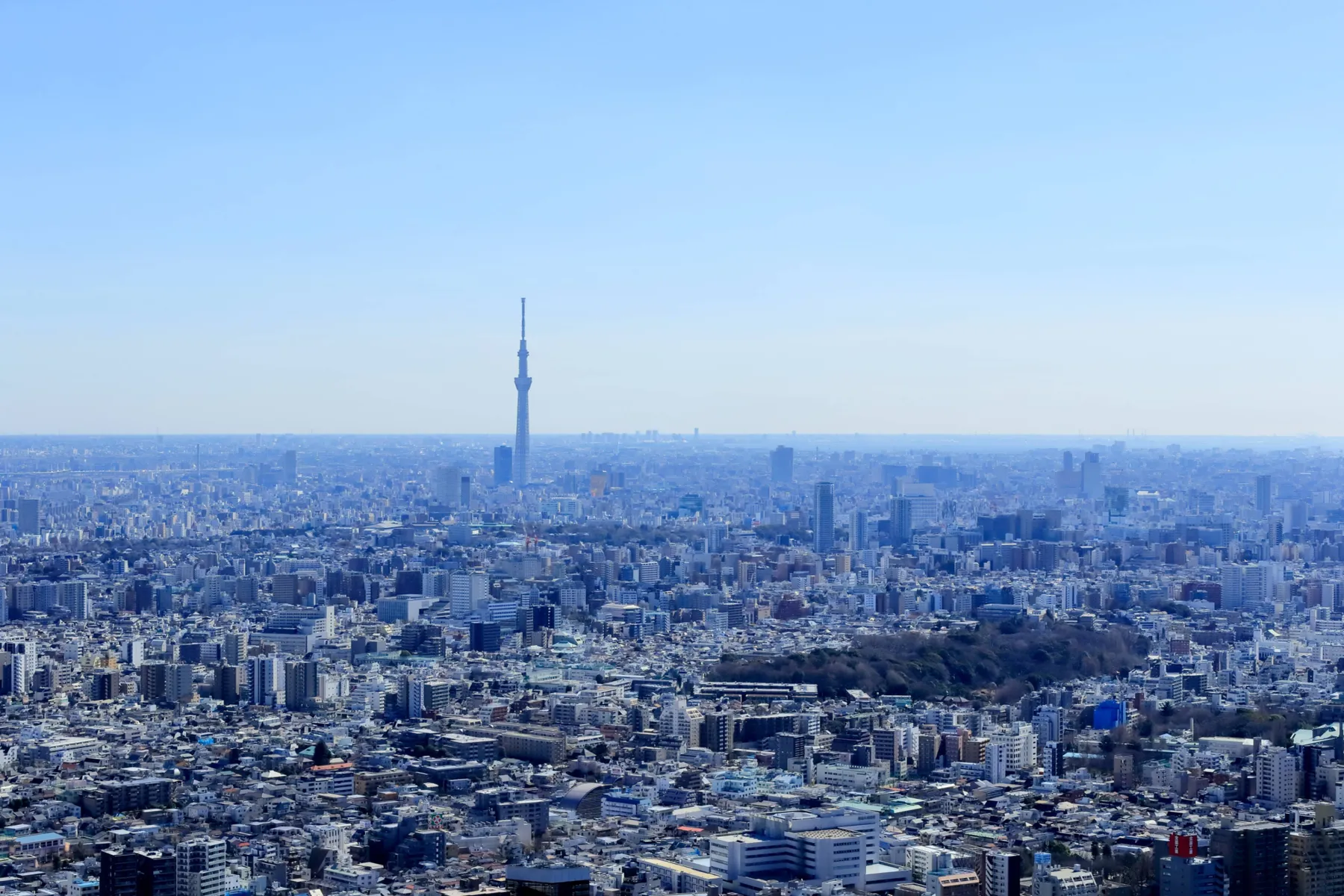 サンシャイン60展望台 てんぼうパーク_11