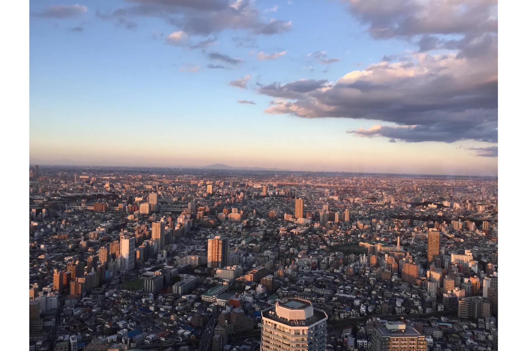 サンシャイン60展望台 てんぼうパーク_12