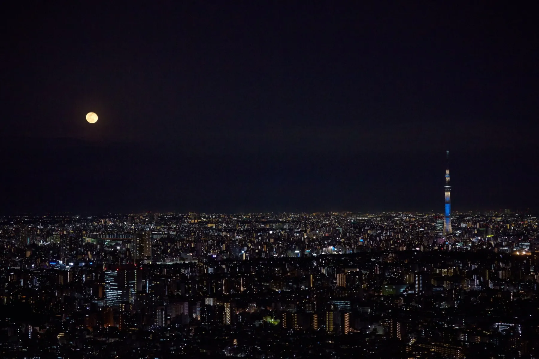 サンシャイン60展望台 てんぼうパーク_17