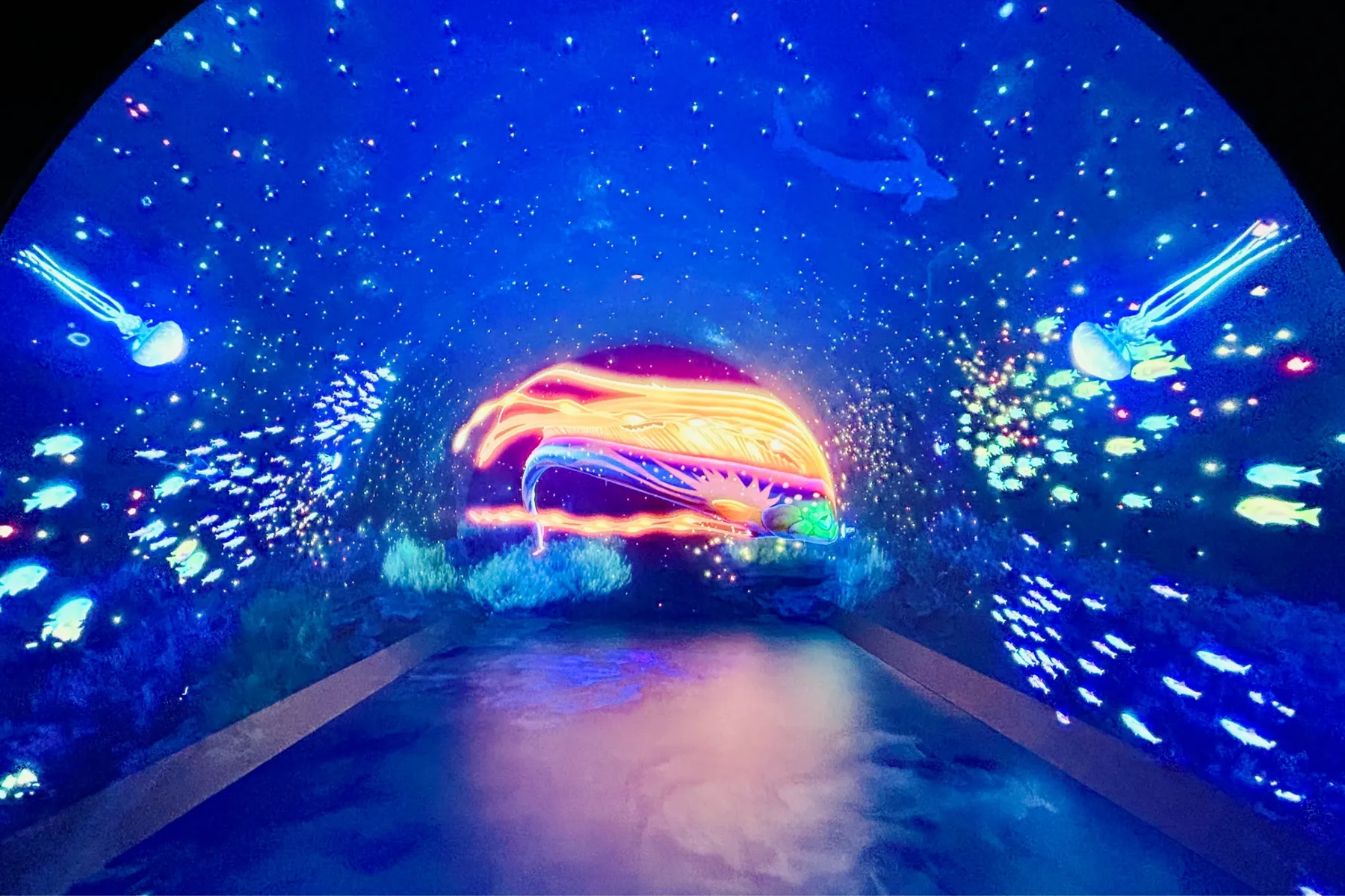 ワンダリア横浜_4