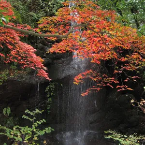 湯河原　万葉公園
