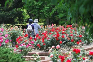 狭山市都市緑化植物園