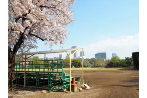 明治神宮外苑総合球技場軟式球場