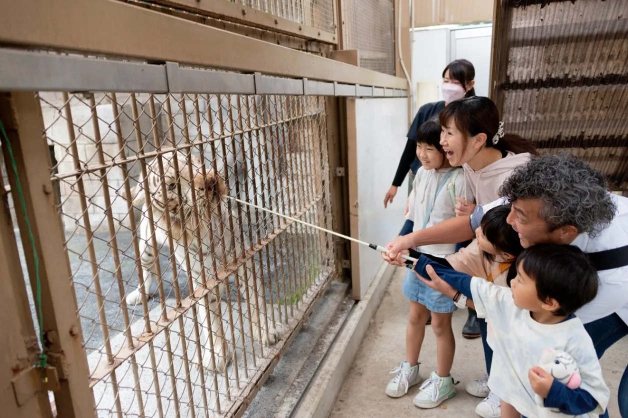 東武動物公園のイベント・アクセス