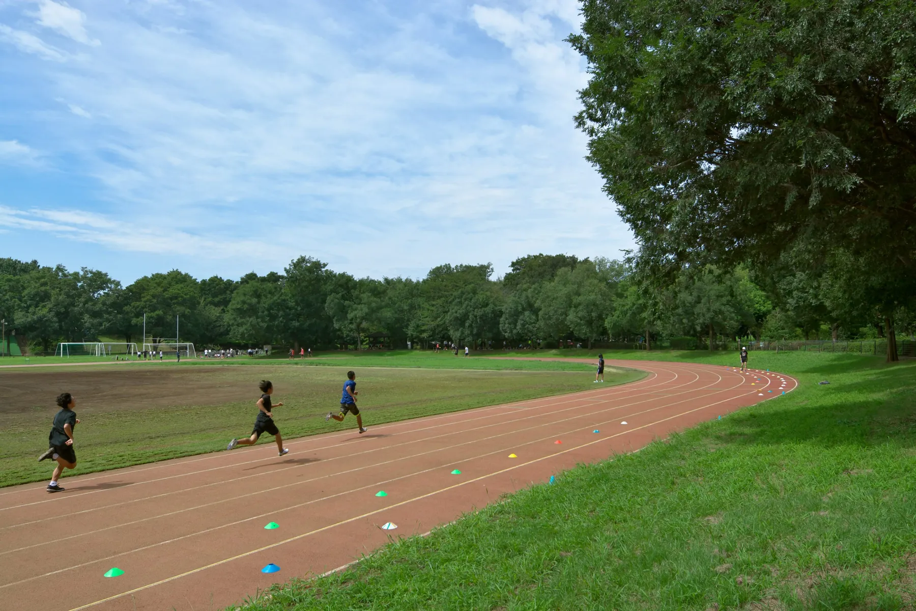 大泉中央公園_3
