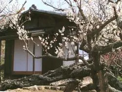 徳富蘇峰記念館_1