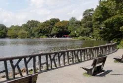 善福寺公園