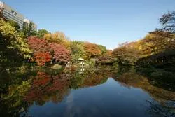 日比谷公園