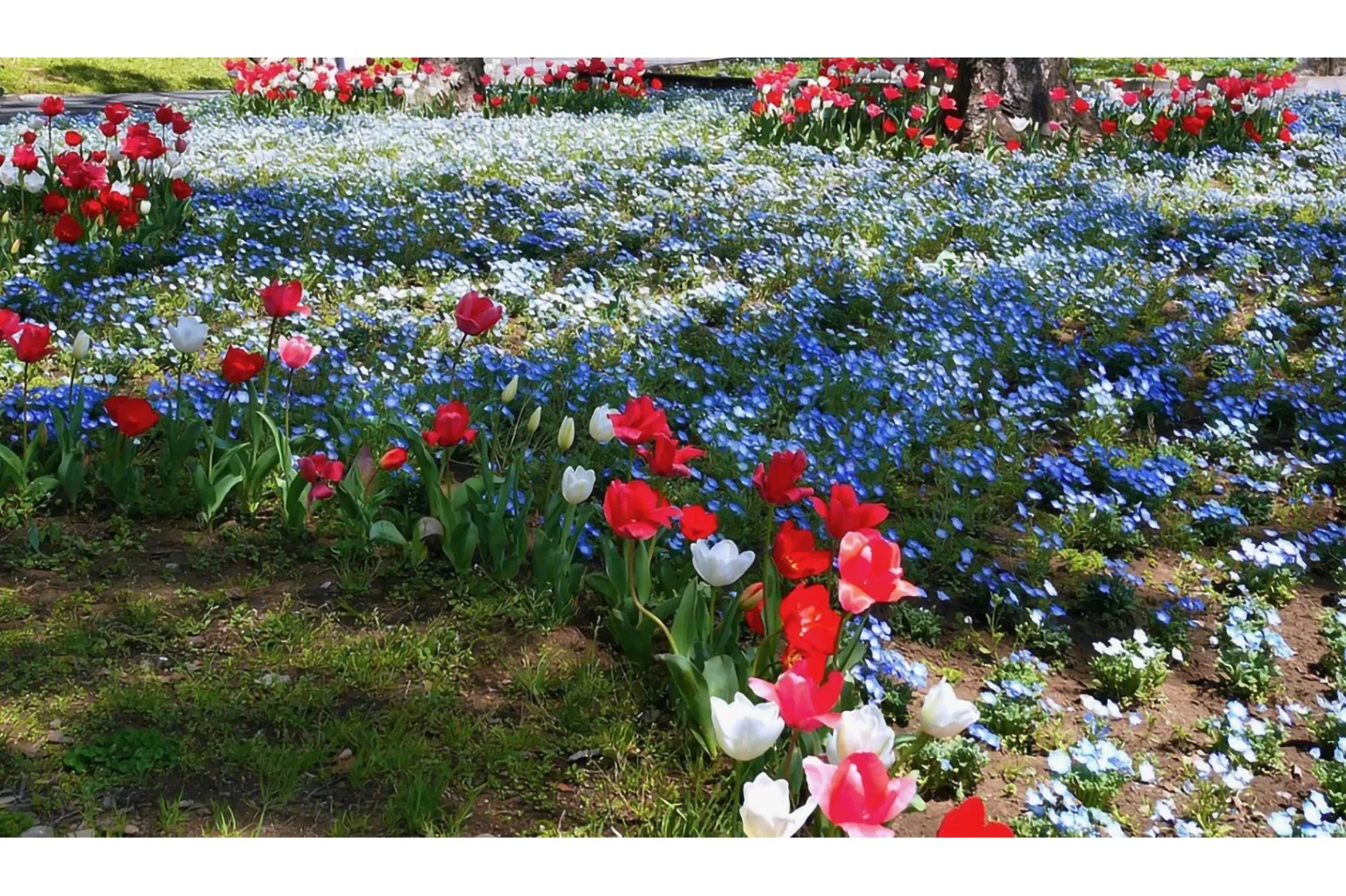 日比谷公園