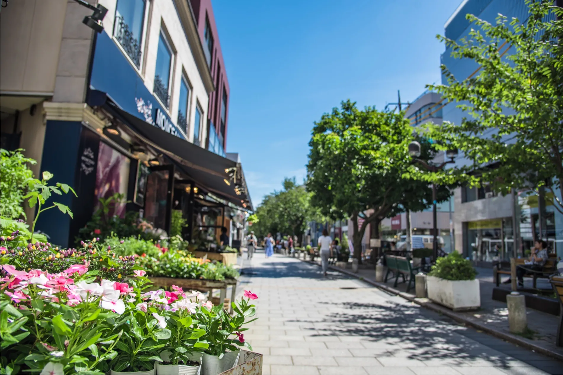 九品仏川緑道｜偏愛東京