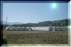 八木観光農園_1