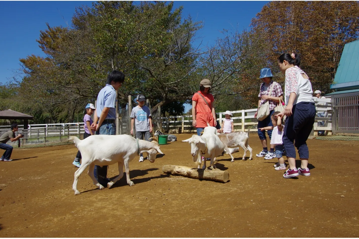 ふなばしアンデルセン公園_15