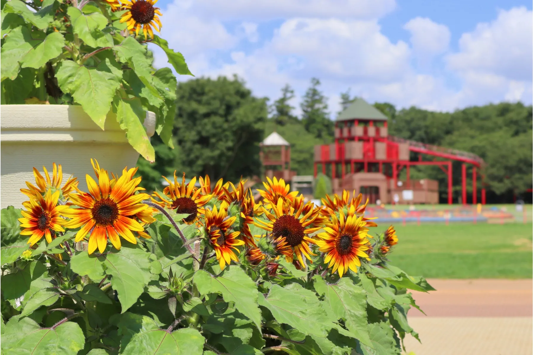 ふなばしアンデルセン公園_7