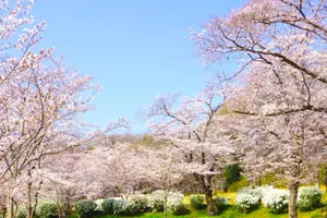 国営武蔵丘陵森林公園