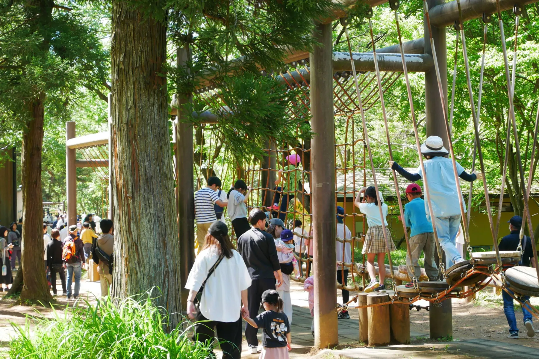 国営武蔵丘陵森林公園_15