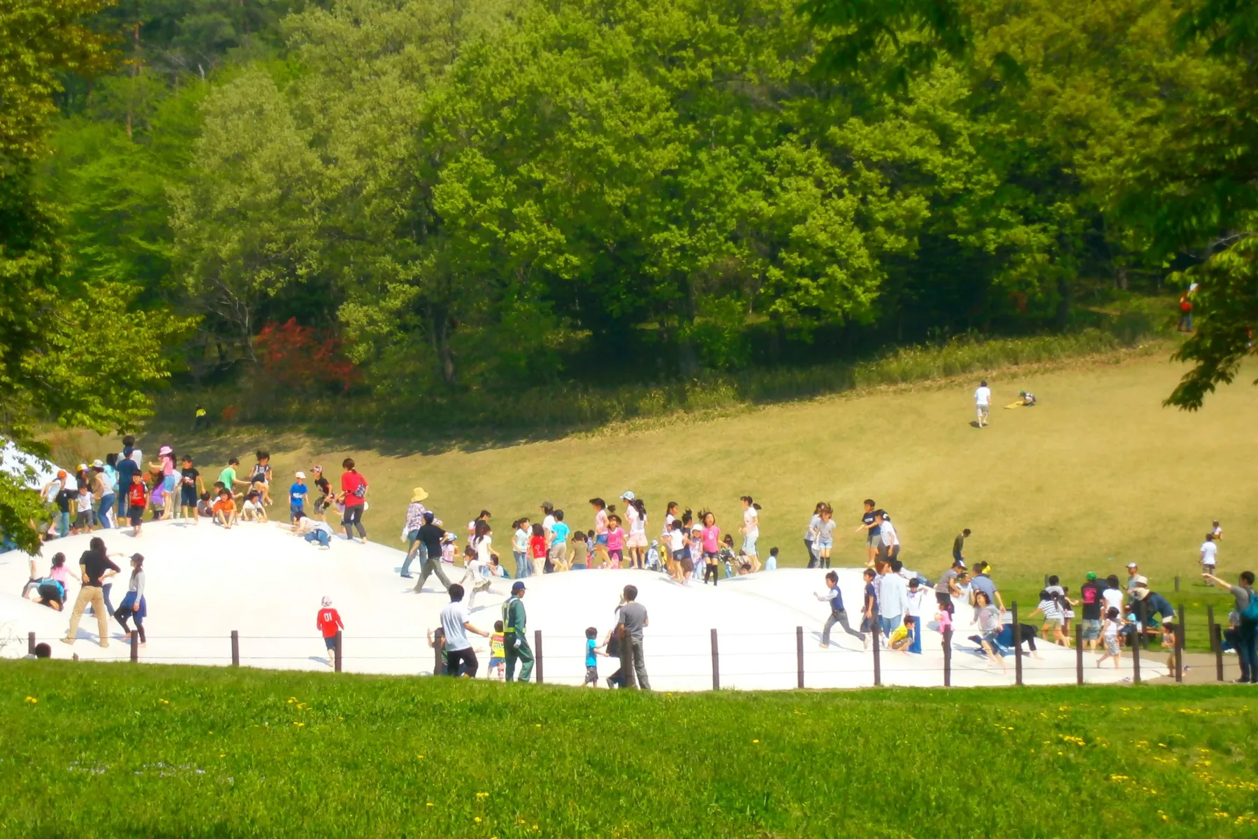 国営武蔵丘陵森林公園_18