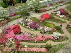 平成つつじ公園